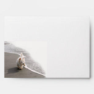 Beachcombing Westie Photo 5x7 Envelope