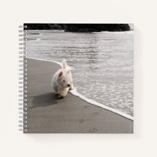 Beachcombing Westie Photo 8x8 Square Journal