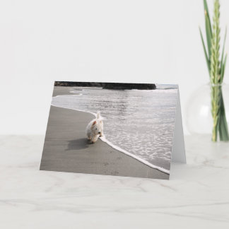 Beachcombing Westie Photo Greeting Card
