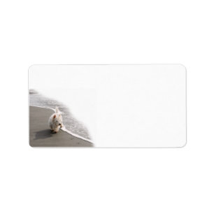 Beachcombing Westie Photo Stationery Label