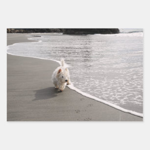 Beachcombing Westie Photo Wrapping Paper
