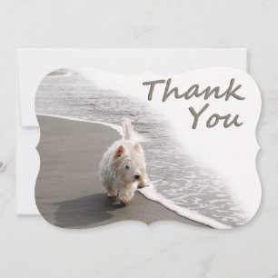 Beachcombing Westie Thank You Note