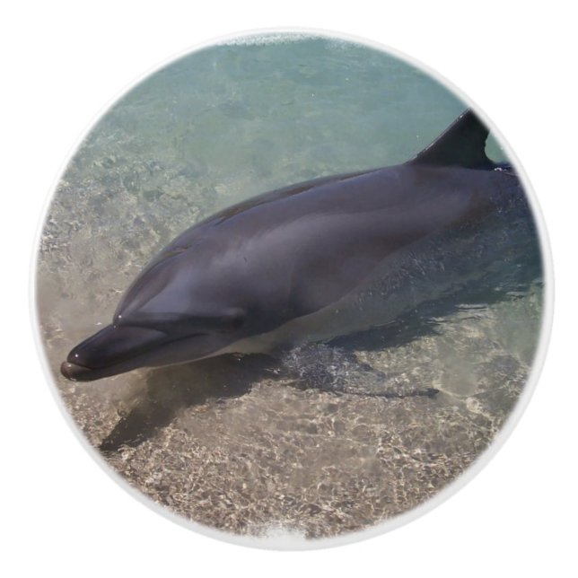 Beached Dolphin Ceramic Knob (Front)