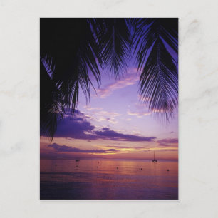 Beaches at Negril, Jamaica 2 Postcard