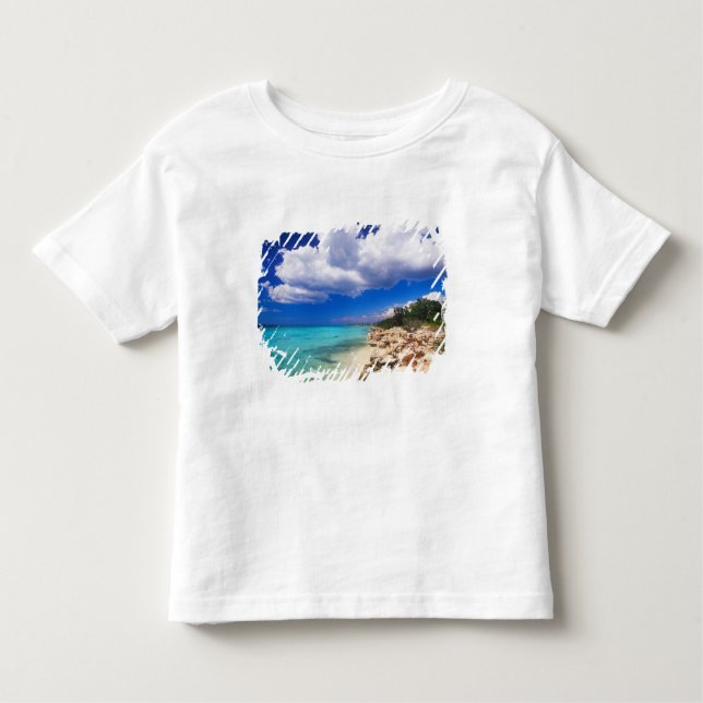 Beaches, Barahona, Dominican Republic, 2 Toddler T-Shirt (Front)