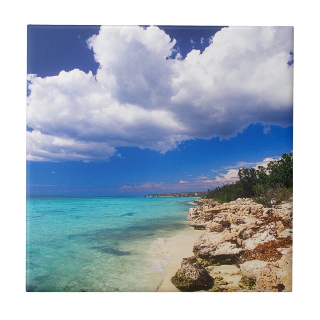 Beaches, Barahona, Dominican Republic Ceramic Tile (Front)