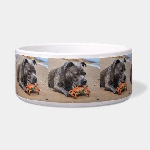 "Beachside Pals: A Staffy and Its Crab Companion"
