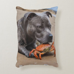 "Beachside Pals: A Staffy and Its Crab Companion" Decorative Cushion