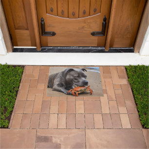 "Beachside Pals: A Staffy and Its Crab Companion" Doormat