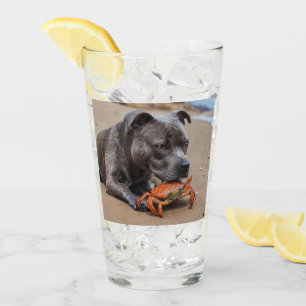 "Beachside Pals: A Staffy and Its Crab Companion" Glass