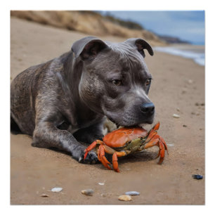"Beachside Pals: A Staffy and Its Crab Companion" Poster