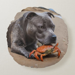"Beachside Pals: A Staffy and Its Crab Companion" Round Cushion