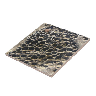Beachy Bubbly Rocks Ceramic Tile