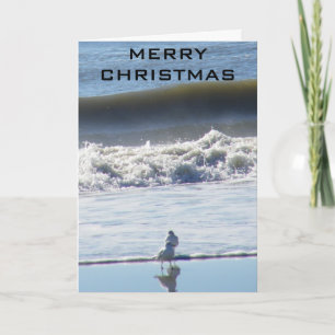 BEACHY CHRISTMAS WISHES HOLIDAY CARD
