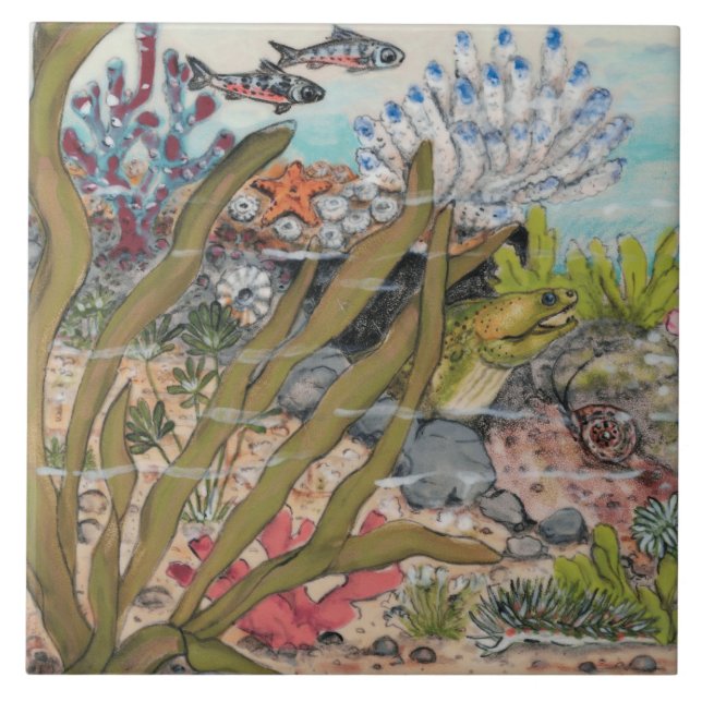 Beachy Sea Life Moray Eel Fish Marine Mural Pc.#1 Ceramic Tile (Front)