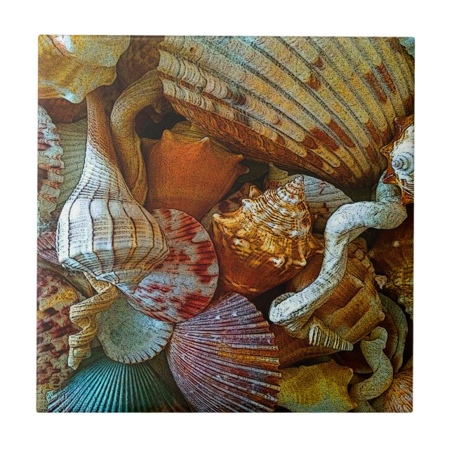Beachy Seashells Ceramic Tile (Front)