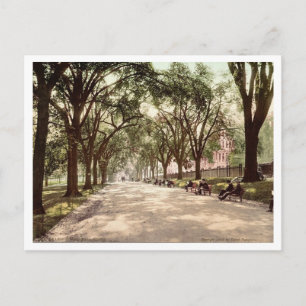 Beacon Street Mall Boston c1899 Vintage Inspired Postcard