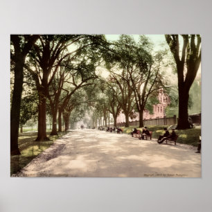 Beacon Street Mall Boston c1899 Vintage Inspired Poster