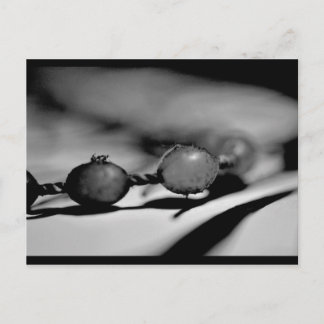Beads Postcard