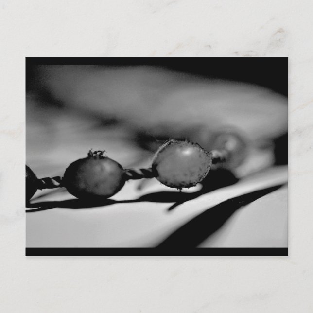 Beads Postcard (Front)