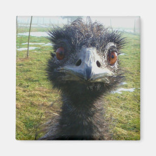Beady Eyes EMU Magnet