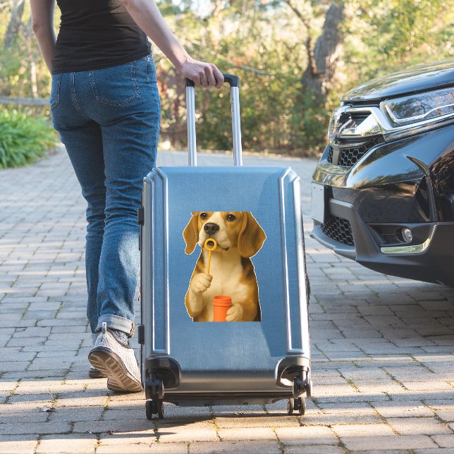 Beagle           (Suitcase Insitu)
