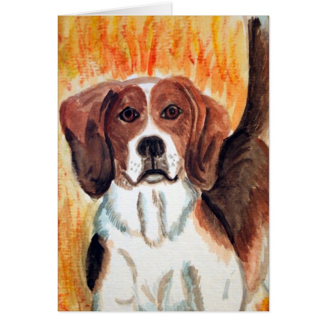 Beagle (Front)