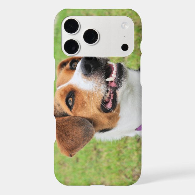 Beagle (Back)