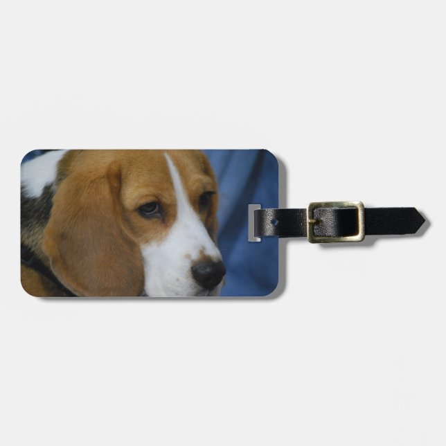 beagle-31.jpg luggage tag (Front Horizontal)