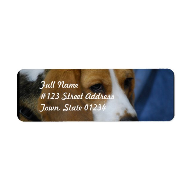 beagle-31.jpg return address label (Front)