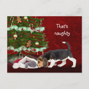 Beagle and naughty kitty Christmas Holiday Postcard