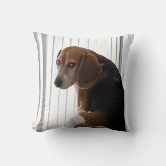 beagle attitude cushion (Front)