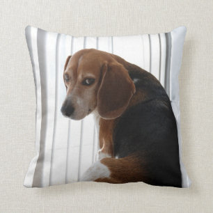 beagle attitude cushion