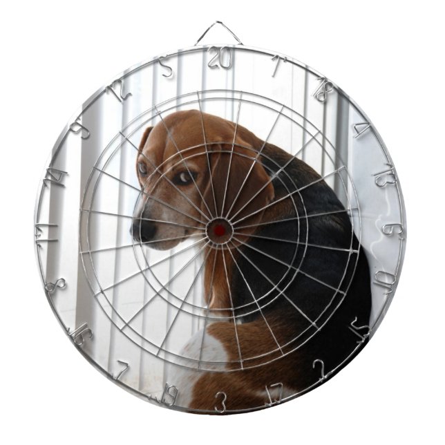 beagle attitude dartboard (Front)