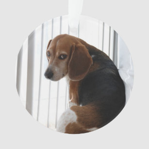 beagle attitude ornament
