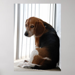 beagle attitude poster