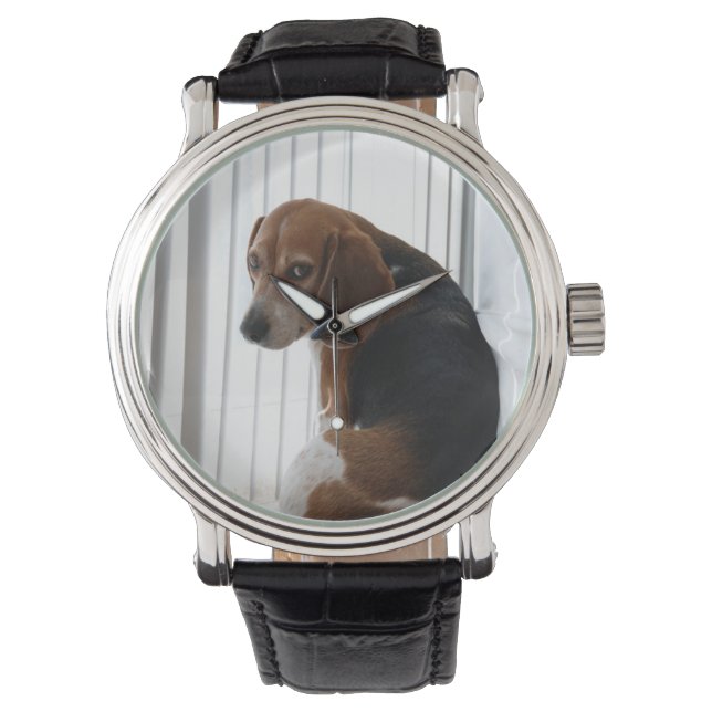 beagle attitude watch (Front)