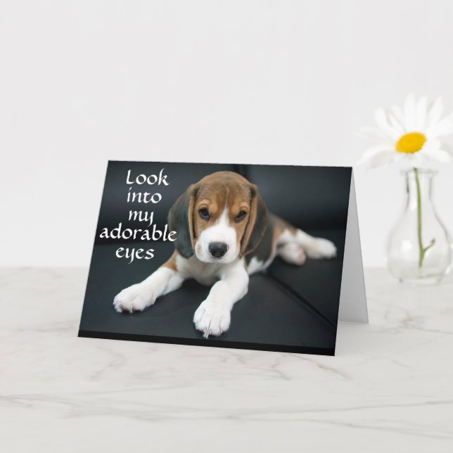 BEAGLE BEGS "HAVE A HAPPY BIRTHDAY" CARD (Small Plant)