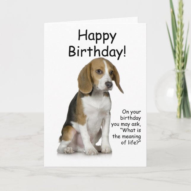 Beagle Birthday Card (Front)