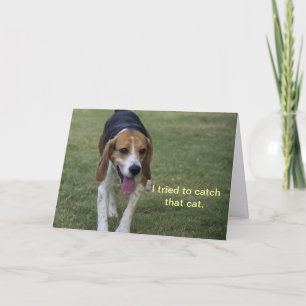 Beagle Birthday Card