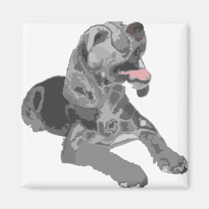 Beagle black-white magnet