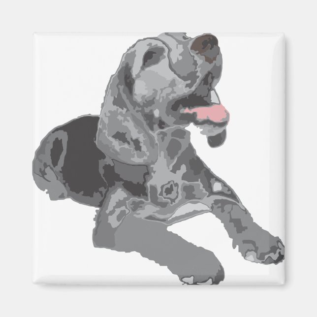 Beagle black-white magnet (Front)