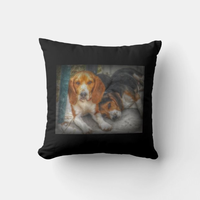 Beagle Brothers Cushion (Front)