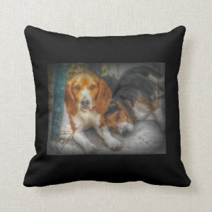 Beagle Brothers Cushion