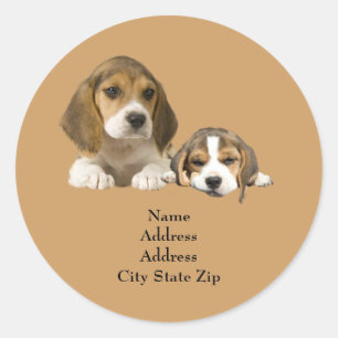 Beagle Buddies Address Label