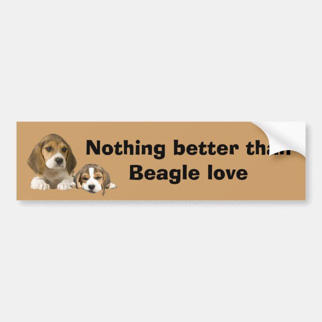 Beagle Buddies Bumper Sticker (Front)