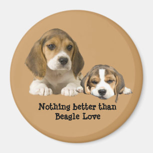 Beagle Buddies Magnet