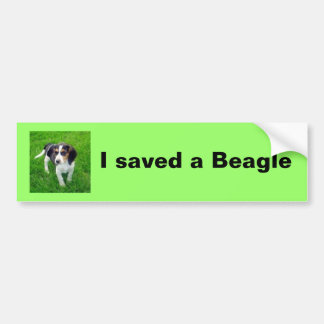 Beagle Bumper Sticker