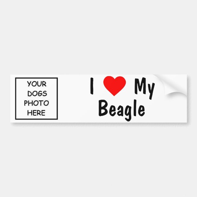 Beagle Bumper Sticker (Front)