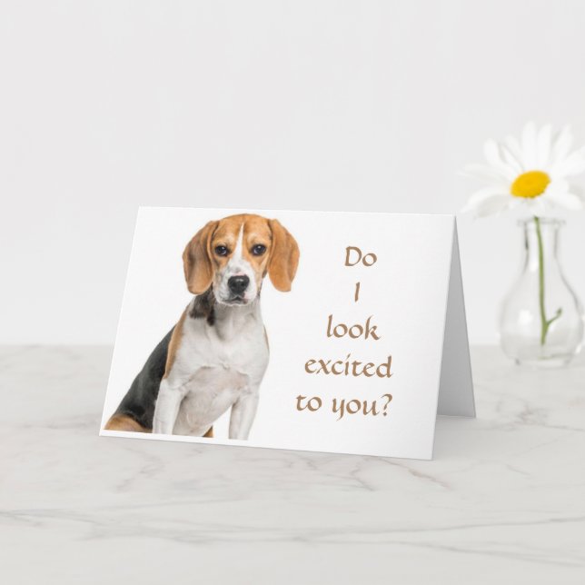 BEAGLE CAN'T BELIEVE HOW "YOUNG" YOU LOOK CARD (Small Plant)